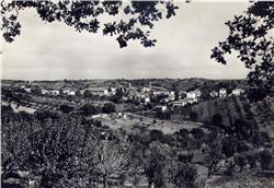 Paesaggio ripese.