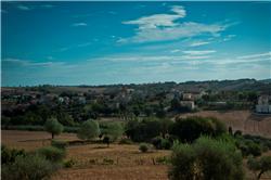 Panorma ripese attuale.