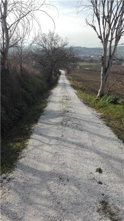 Camminata dei racconti